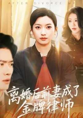 离婚后前妻成了金牌律师在线观看