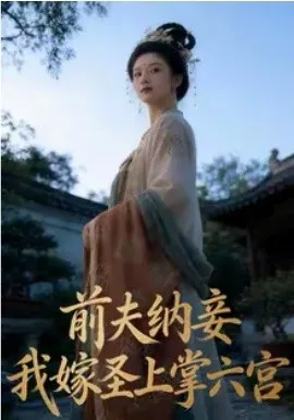 前夫纳妾，我嫁圣上掌六宫在线观看