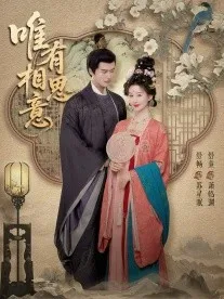 唯有相思意在线观看