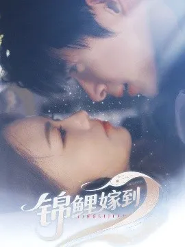锦鲤嫁到在线观看