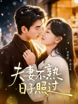 夫妻不熟,日子照过在线观看