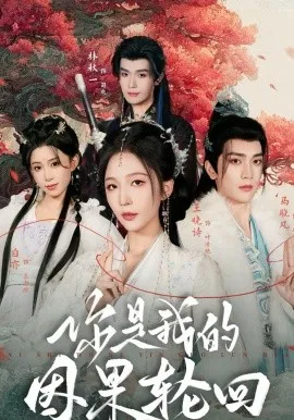 你是我的因果轮回在线观看