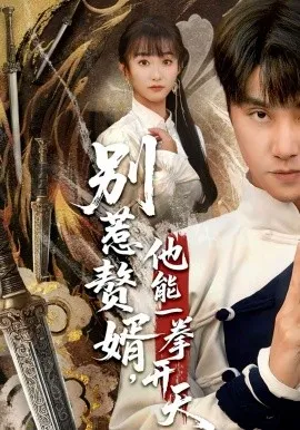 别惹赘婿，他能一拳开天在线观看