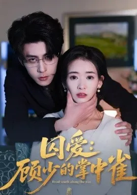囚爱：顾少的掌中雀在线观看