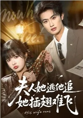夫人她逃他追，她插翅难飞在线观看