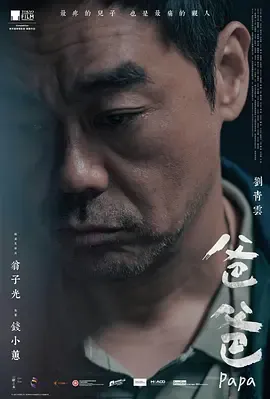 爸爸2024[电影解说]在线观看