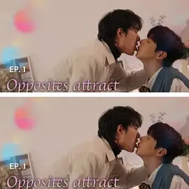 反向吸引在线观看