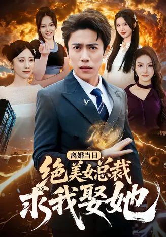 离婚当日,绝美女总裁求我娶她在线观看