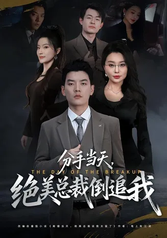 分手当天，绝美总裁倒追我在线观看