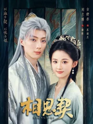 相思契在线观看