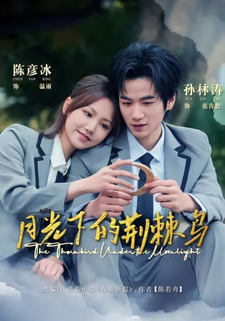月光下的荆棘鸟在线观看