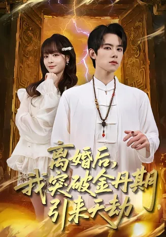 离婚后，我突破金丹期，引来天劫在线观看