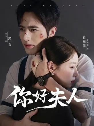 你好夫人在线观看