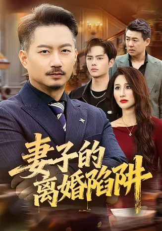 妻子的离婚陷阱在线观看
