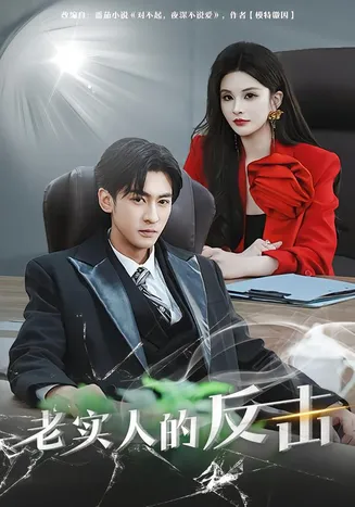 老实人的反击在线观看