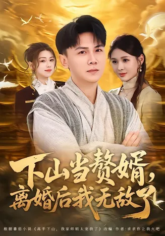 下山当赘婿，离婚后我无敌了在线观看