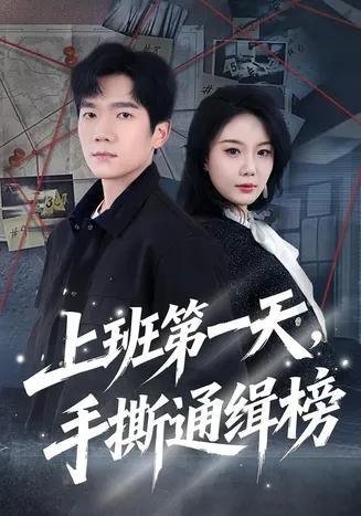 上班第一天，手撕通缉榜在线观看