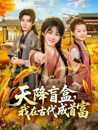 天降盲盒,我在古代成首富在线观看