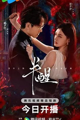 半醒在线观看