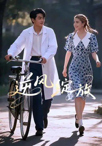 逆风绽放在线观看