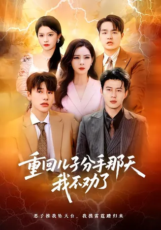 重回儿子分手那天，我不劝了在线观看