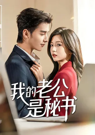 我的老公是秘书在线观看