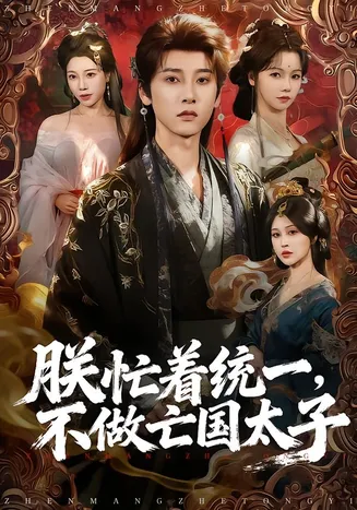 朕忙着统一,不做亡国太子在线观看
