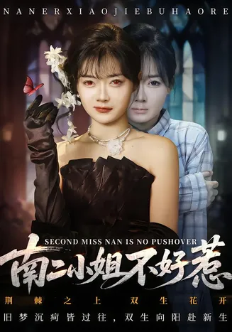 南二小姐不好惹在线观看