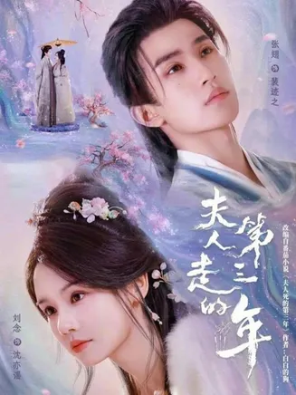 夫人走的第三年在线观看