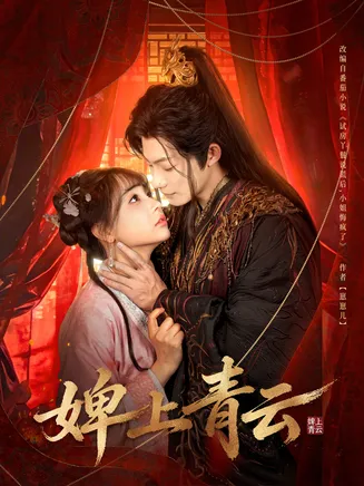 婢上青云在线观看