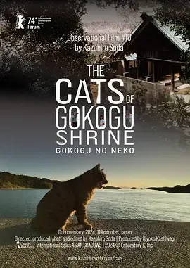 五香宫的猫在线观看