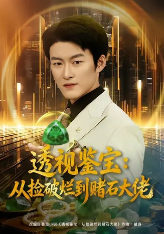 透视鉴宝:从捡破烂到赌石大佬在线观看