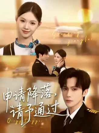 申请降落请予通过在线观看