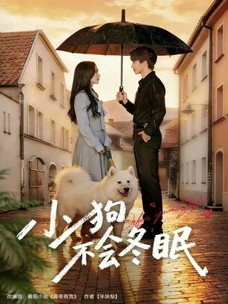 小狗不会冬眠在线观看