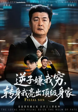 逆子嫌我穷，转身我亮出顶级身家在线观看