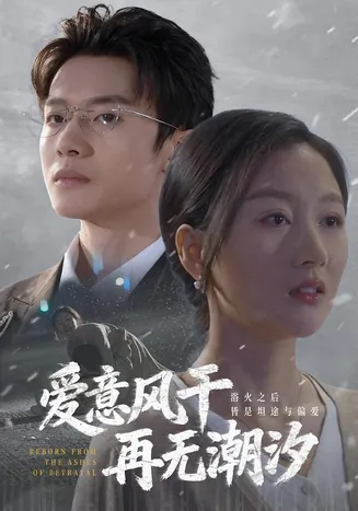 爱意风干再无潮汐在线观看
