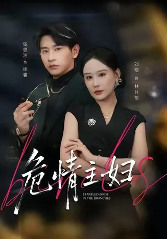 危情主妇在线观看