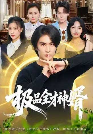极品全才神婿在线观看