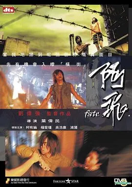 阿飞国语在线观看