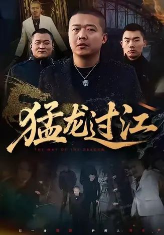 猛龙过江在线观看