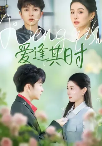 爱逢其时在线观看