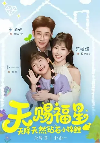 天赐福星天降天然钻石小锦鲤在线观看