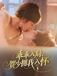 乖乖入局贺少拥我入怀在线观看