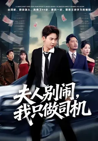夫人别闹我只做司机在线观看
