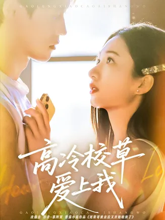高冷校草爱上我在线观看