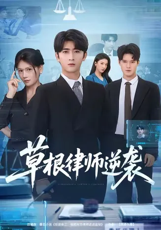 草根律师逆袭在线观看