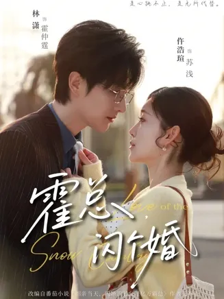 霍总闪个婚在线观看