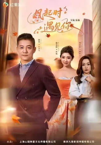 风起时遇见你在线观看