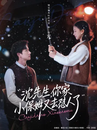 沈先生,你家小保姆又去怼人了在线观看