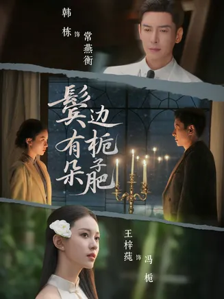 鬓边有朵栀子肥在线观看